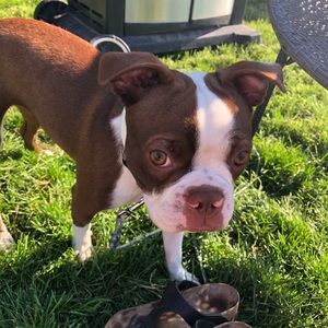 Meet your Posher, Heather